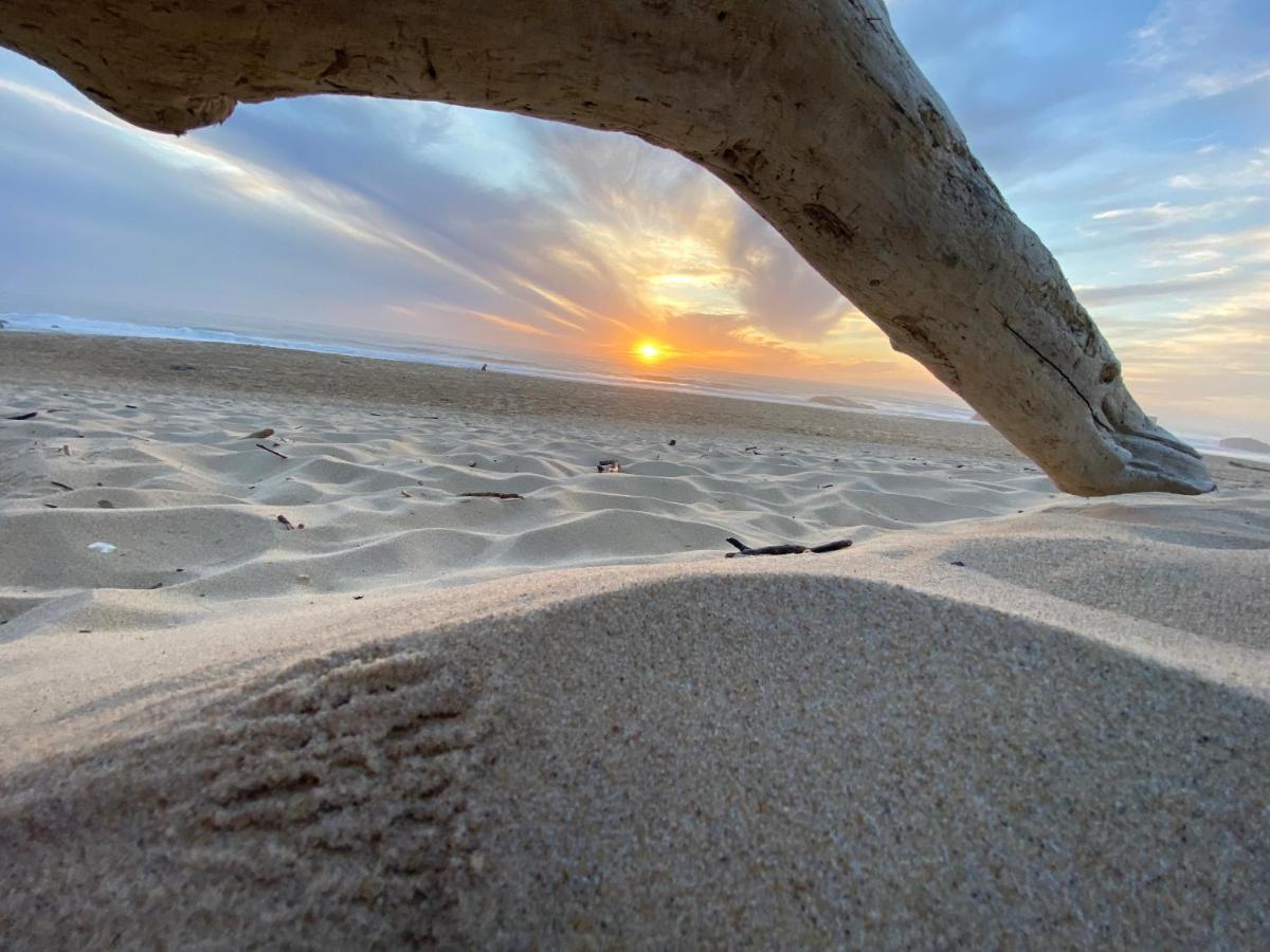Atlantic Selection - Le Studio 48 Capbreton Dış mekan fotoğraf