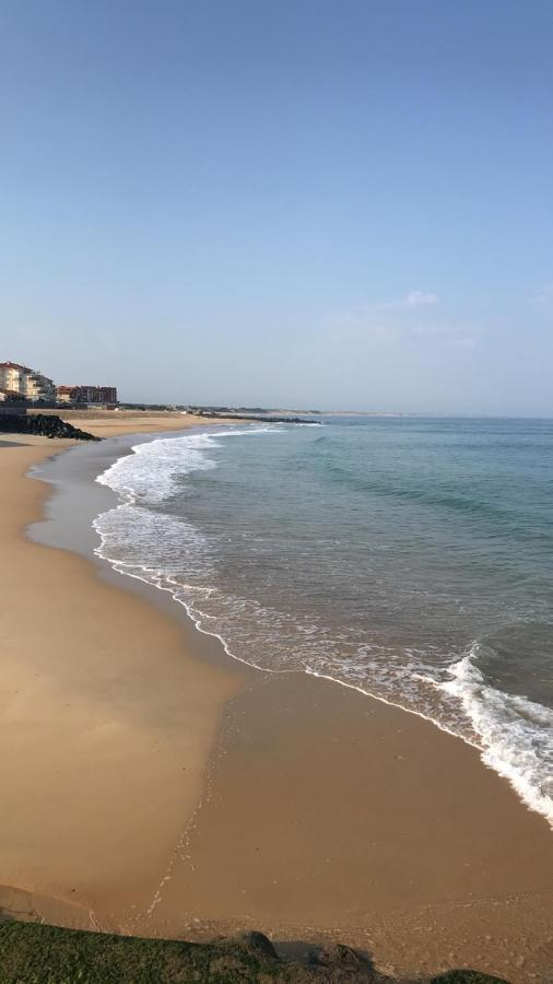 Atlantic Selection - Le Studio 48 Capbreton Dış mekan fotoğraf